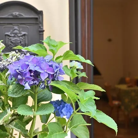 Apartment Casa Girgenti